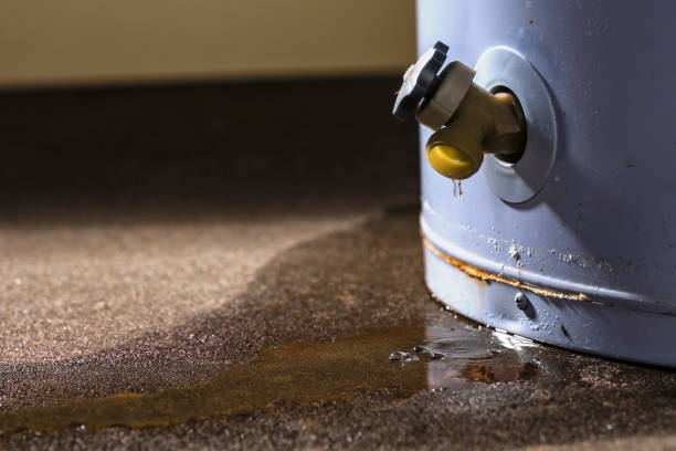Best 24-hour water damage restoration  in Dayton, TN