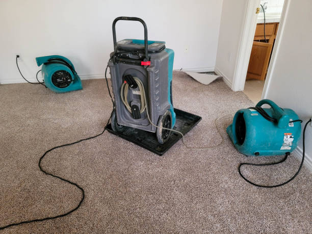 Best Residential water damage restoration  in Dayton, TN