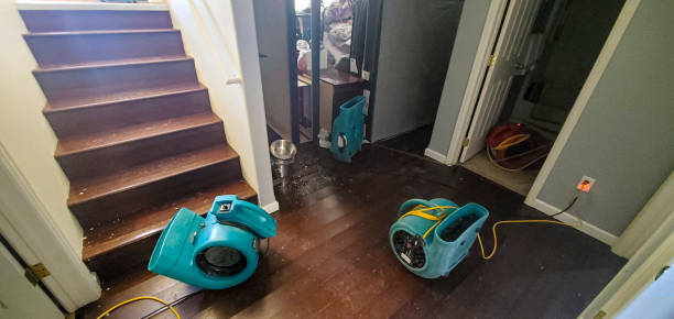 Best Carpet water damage restoration  in Dayton, TN