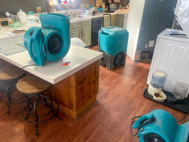 Best Flooded house restoration  in Dayton, TN