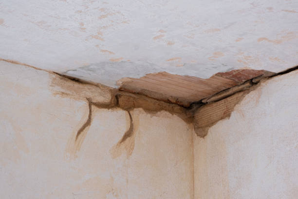 Best Flooded house restoration  in Dayton, TN