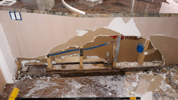 Best Water damage mitigation services  in Dayton, TN