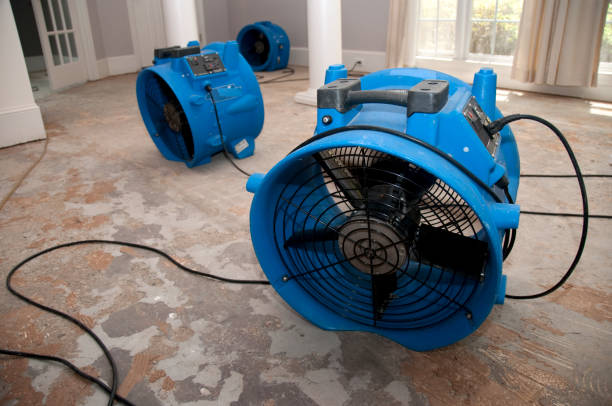 Best Water damage restoration cost  in Dayton, TN