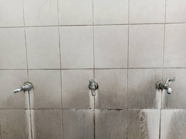 Best Water damage restoration company  in Dayton, TN