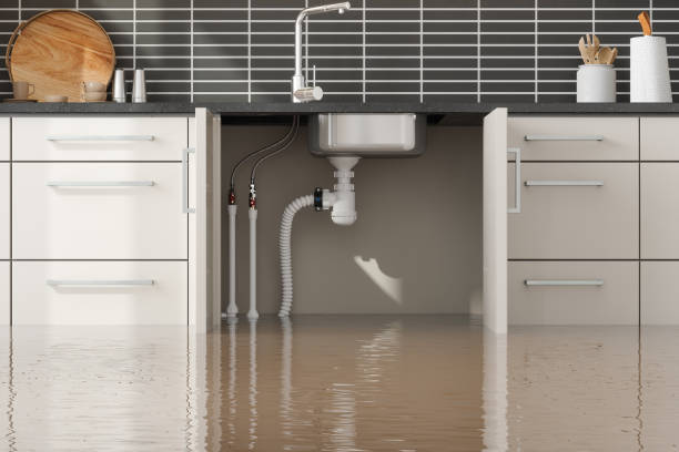 Best Emergency water damage restoration  in Dayton, TN