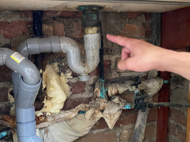 Best Flood restoration services  in Dayton, TN