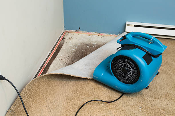 Best Water damage restoration near me  in Dayton, TN