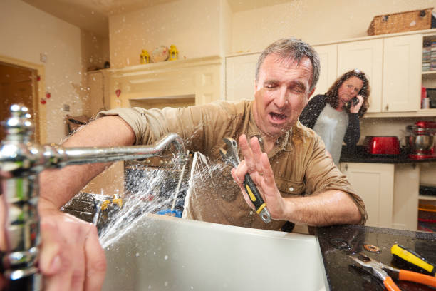 Best Water damage contractors near me  in Dayton, TN
